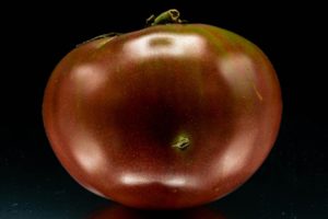Red Garden Tomato