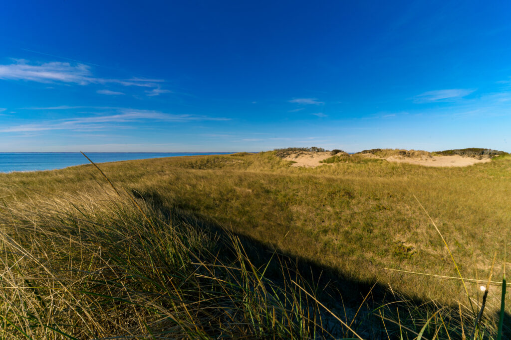 Dunes along the way to the lighthouse.