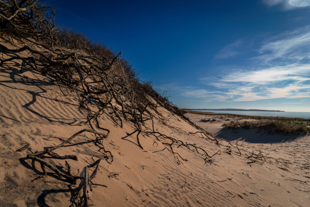 More dunes, this time it's scraggily.